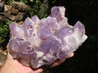 Natural Amethyst Cluster With Calcite Crystals  x 1 From Mumbwa, Zambia - TopRock