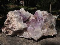 Natural Large Amethyst Crystal Vug Specimen  x 1 From Zambia - TopRock