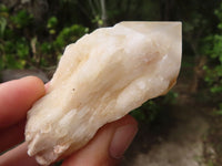 Natural Highly Selected Pineapple Candle Quartz Crystals  x 12 From Madagascar - Toprock Gemstones and Minerals 