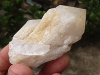 Natural Highly Selected Pineapple Candle Quartz Crystals  x 12 From Madagascar - Toprock Gemstones and Minerals 