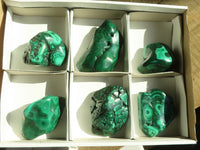 Polished Flower Malachite Free Forms  x 6 From Congo