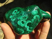 Polished Malachite Free Forms x 3 From Kolwezi, Congo