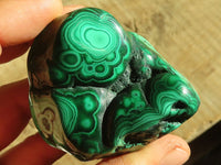 Polished Flower Malachite Free Forms  x 6 From Congo