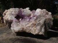 Natural Large Amethyst Crystal Vug Specimen  x 1 From Zambia - TopRock