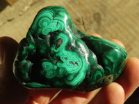 Polished Flower Malachite Free Forms  x 6 From Congo