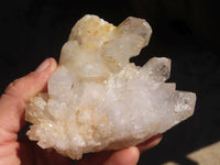 Natural Mixed Brandberg Quartz "Flower" Formations x 11 From Brandberg, Namibia