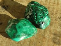 Polished Flower Malachite Free Forms  x 6 From Congo