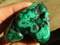 Polished Flower Malachite Free Forms  x 6 From Congo