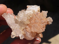 Natural Mixed Brandberg Quartz "Flower" Formations x 11 From Brandberg, Namibia