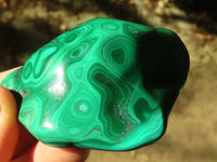 Polished Flower Malachite Free Forms  x 6 From Congo