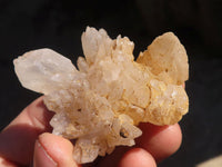 Natural Mixed Brandberg Quartz "Flower" Formations x 11 From Brandberg, Namibia