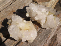 Natural Mixed Brandberg Quartz "Flower" Formations x 11 From Brandberg, Namibia