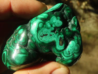 Polished Flower Malachite Free Forms  x 6 From Congo