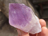 Natural Jacaranda Amethyst Crystals x 12 From Mumbwa, Zambia