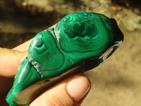 Polished Flower Malachite Free Forms  x 6 From Congo