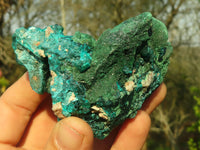 Natural Classic Emerald Dioptase Crystal Specimens  x 2 From Likasi, Congo