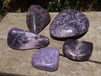 Polished Large Gem Lithium Mica Lepidolite Free Forms -  x Sold per 2 Kg  From Zimbabwe - TopRock