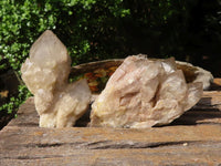 Natural Cascading White Phantom Quartz Clusters  x 6 From Luena, Congo - TopRock