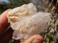 Natural Mixed Brandberg Quartz "Flower" Formations x 11 From Brandberg, Namibia