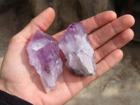 Natural Jacaranda Amethyst Crystals x 12 From Mumbwa, Zambia