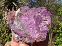 Natural Metallic Purpurite Cobbed Specimens  x 12 From Erongo, Namibia - Toprock Gemstones and Minerals 