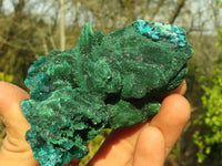 Natural Classic Emerald Dioptase Crystal Specimens  x 2 From Likasi, Congo