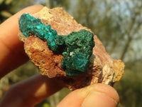 Natural Classic Emerald Dioptase Crystal Specimens  x 2 From Likasi, Congo