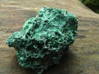 Natural Chatoyant Silky Malachite Specimens  x 6 From Kasompe, Congo - TopRock