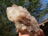 Natural Cascading White Phantom Quartz Clusters  x 6 From Luena, Congo - TopRock