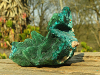 Natural Classic Emerald Dioptase Crystal Specimens  x 2 From Likasi, Congo