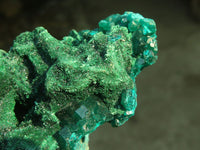 Natural Classic Emerald Dioptase Crystal Specimens  x 2 From Likasi, Congo