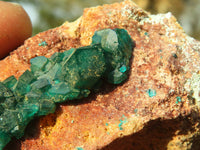 Natural Classic Emerald Dioptase Crystal Specimens  x 2 From Likasi, Congo