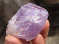 Natural Jacaranda Amethyst Crystals x 12 From Mumbwa, Zambia