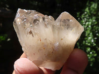 Polished Single Smokey Quartz Crystals  x 1.9 Kg Lot From Zimbabwe - TopRock