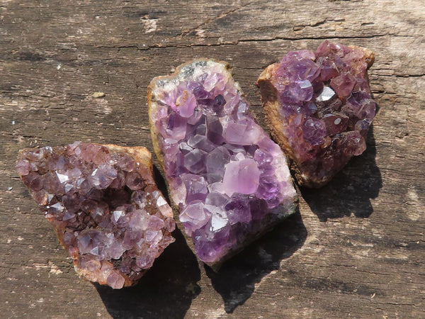 Natural Small Dark Amethyst Geode Specimens  x 35 From Zululand, South Africa - TopRock