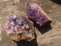 Natural Small Dark Amethyst Geode Specimens  x 35 From Zululand, South Africa - TopRock