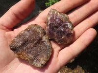 Natural Small Dark Amethyst Geode Specimens  x 35 From Zululand, South Africa - TopRock