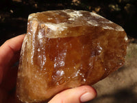 Natural Honey Aragonite Etched & Cobbed Pieces  x 3 From Namibia