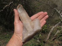 Polished Pair Of Large Arcadia Quartz Crystals  x 2 From Angola - TopRock