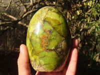 Polished Green Opal Standing Free Forms  x 2 From Madagascar