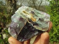 Polished Watermelon Fluorite Standing Slabs  x 6 From Uis, Namibia