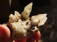 Natural Fluorescent Drusy Quartz Coated Spearhead Calcite Crystals x 12 From Alberts Mountain, Lesotho