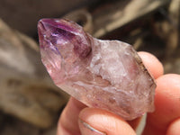 Natural Window Amethyst Crystals  x 12 From Chiredzi, Zimbabwe