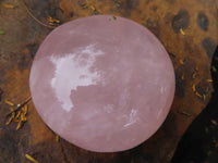 Polished Gemmy Pink Rose Quartz Palm Stones  x 12 From Madagascar - TopRock