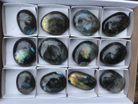 Polished Flashy Labradorite Palm Stones  x 12 From Tulear, Madagascar - TopRock