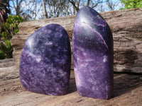 Polished Purple Lepidolite Standing Free Forms  x 4 From Zimbabwe