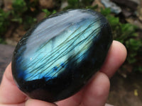 Polished Flashy Labradorite Palm Stones  x 12 From Tulear, Madagascar - TopRock