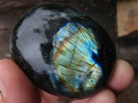 Polished Flashy Labradorite Palm Stones  x 12 From Tulear, Madagascar - TopRock