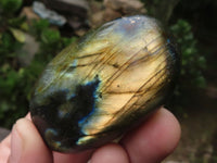 Polished Flashy Labradorite Palm Stones  x 12 From Tulear, Madagascar - TopRock