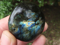 Polished Flashy Labradorite Palm Stones  x 12 From Tulear, Madagascar - TopRock